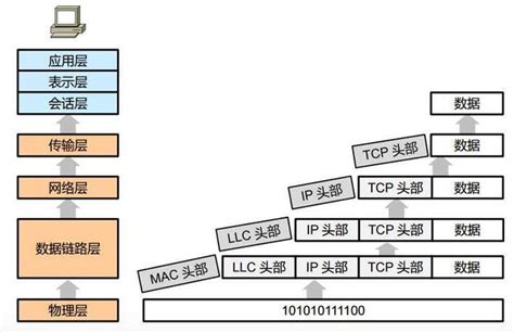 網路七層口訣|網路七層概念 / OSI 七層模型：解釋網路通訊的層次結構